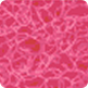 Pink 21